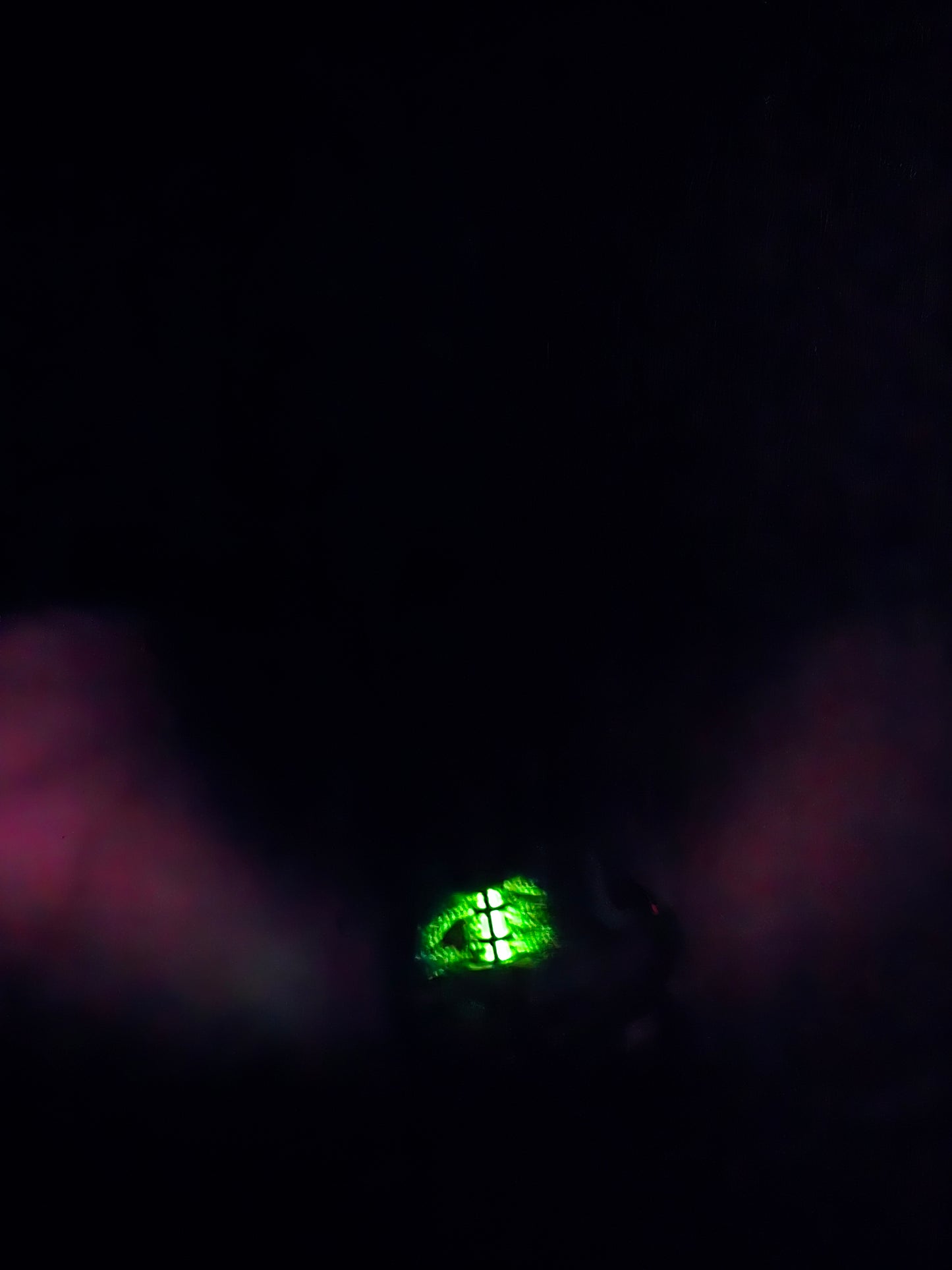 Glow skullobite paracord bracelet