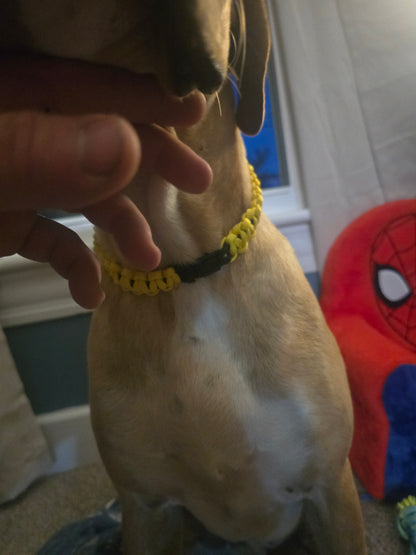 Bonebound collar