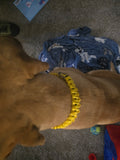 Bonebound collar