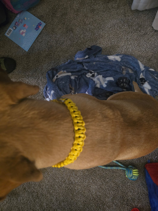 Bonebound collar